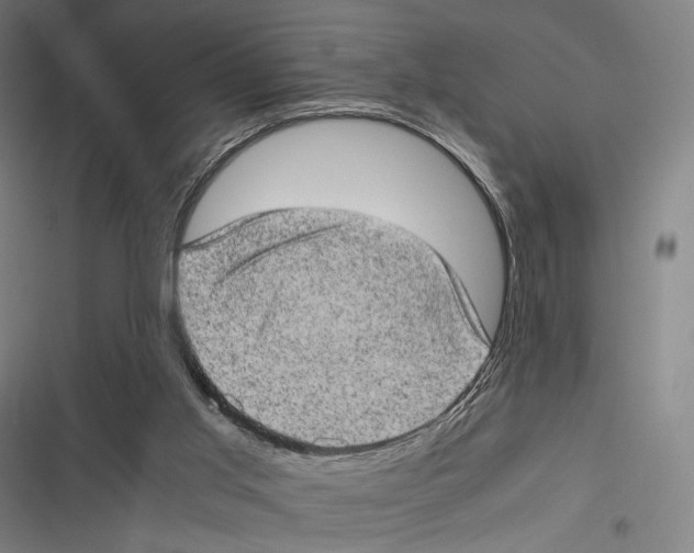 X0000116600013201001081159