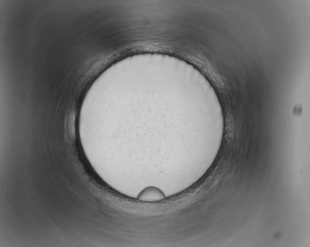 X0000116600014201001081159