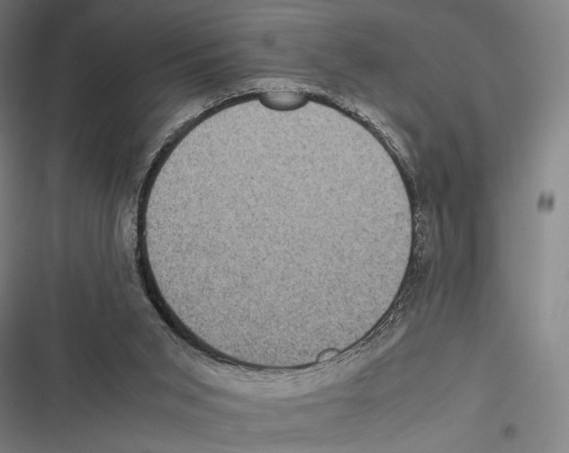 X0000116600015201001081159