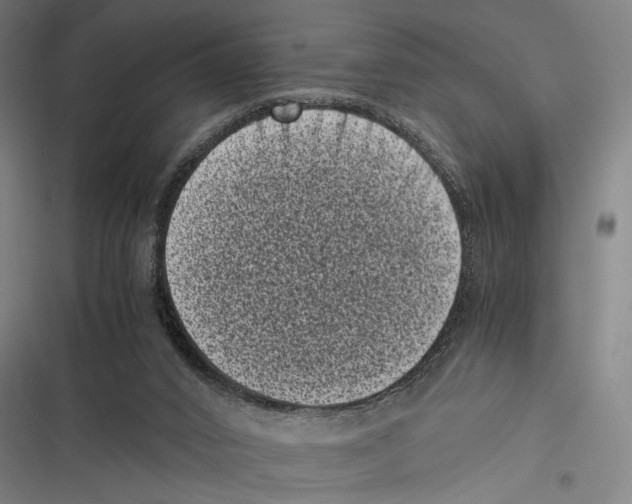 X0000116600016201001081159