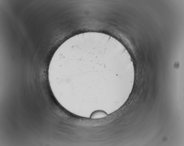X0000116600017201001081159