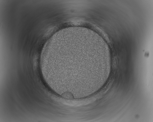 X0000116600018201001081159