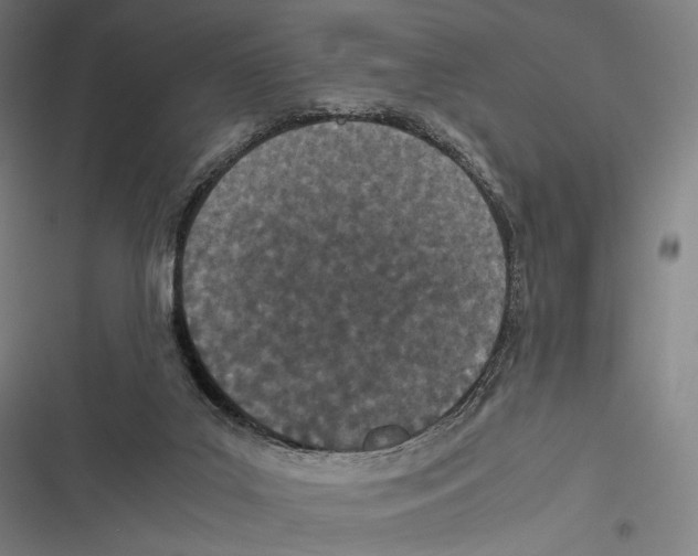 X0000116600019201001081159