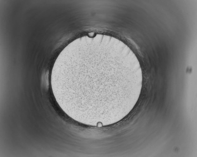 X0000116600020201001081159