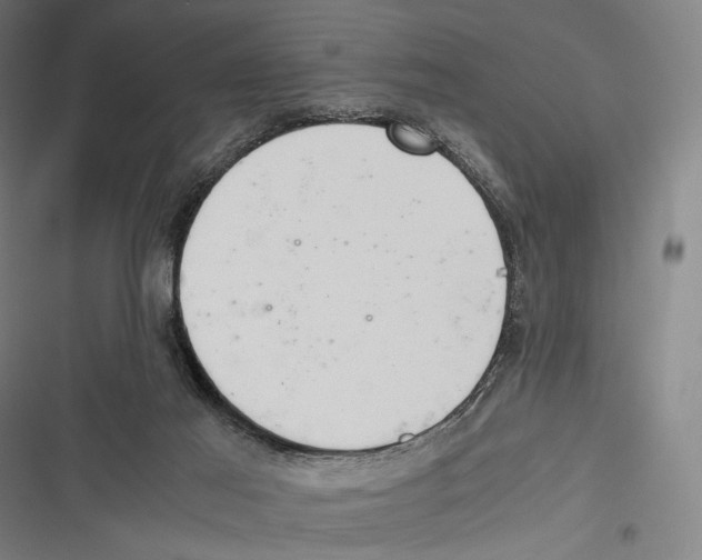X0000116600021201001081159