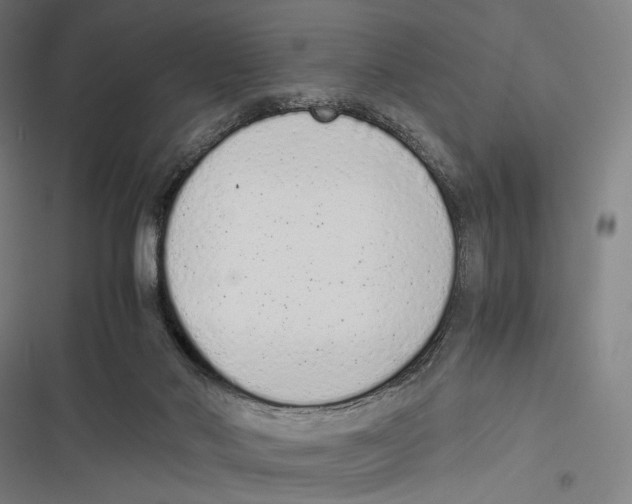 X0000116600022201001081159