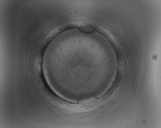 X0000116600023201001081159