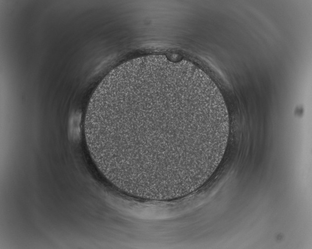 X0000116600024201001081159