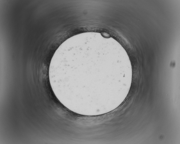 X0000116600025201001081159
