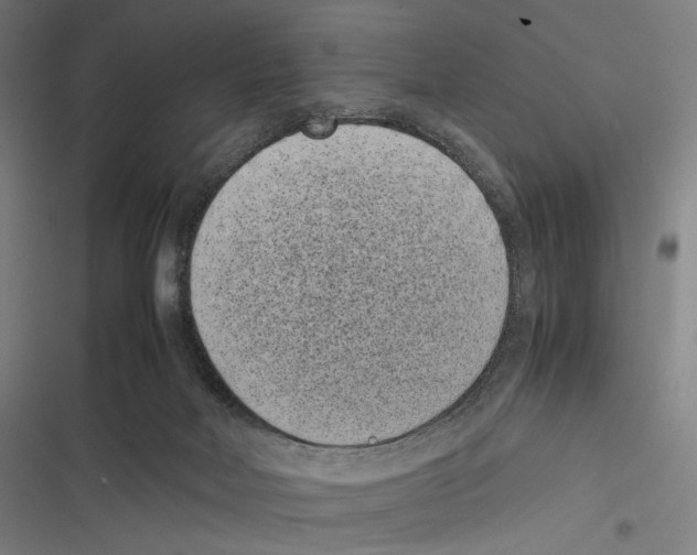 X0000116600026201001081159