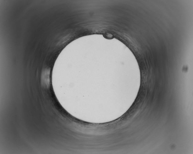 X0000116600028201001081159
