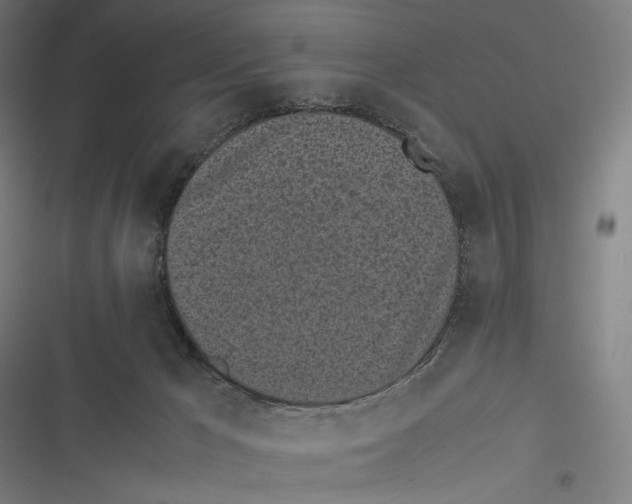X0000116600029201001081159