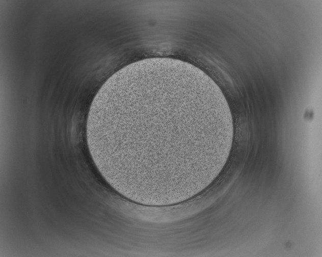 X0000116600030201001081159