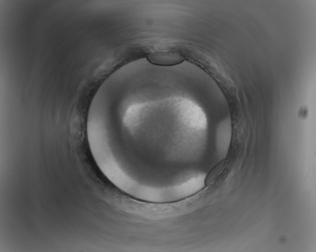 X0000116600031201001081159