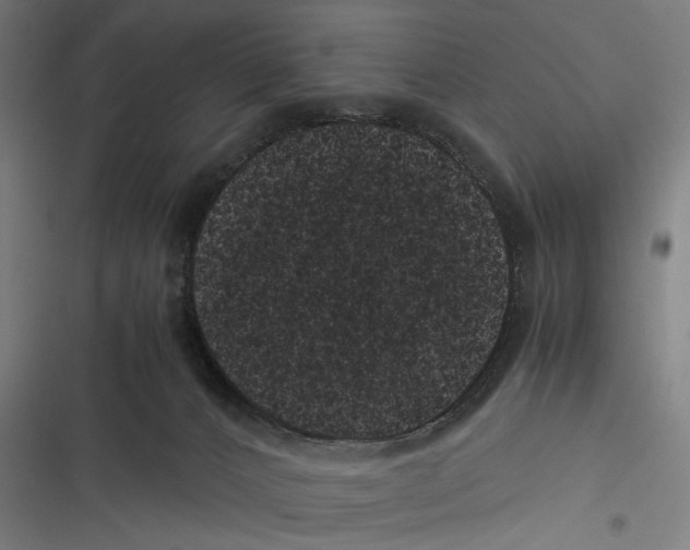 X0000116600032201001081159