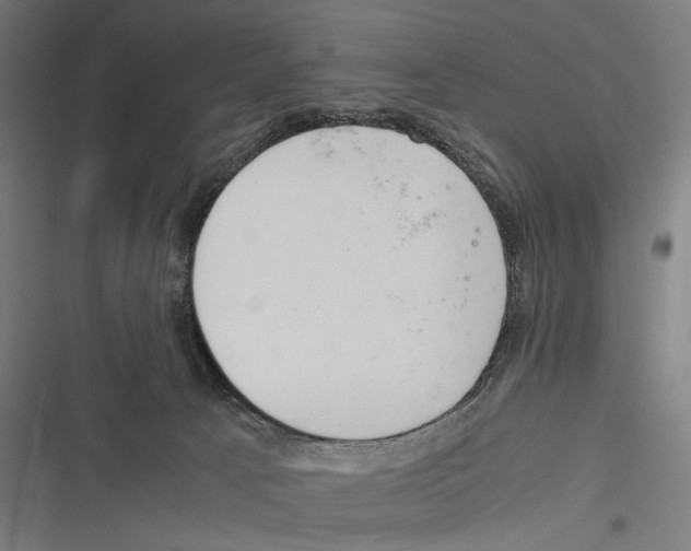 X0000116600033201001081159
