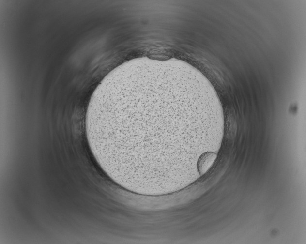 X0000116600034201001081159