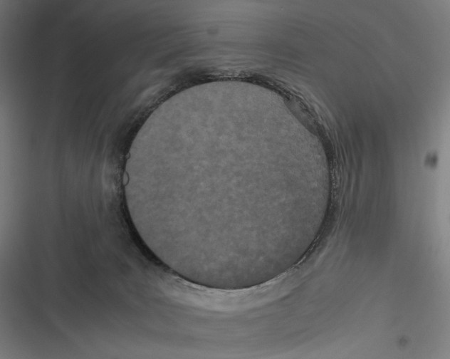 X0000116600035201001081159