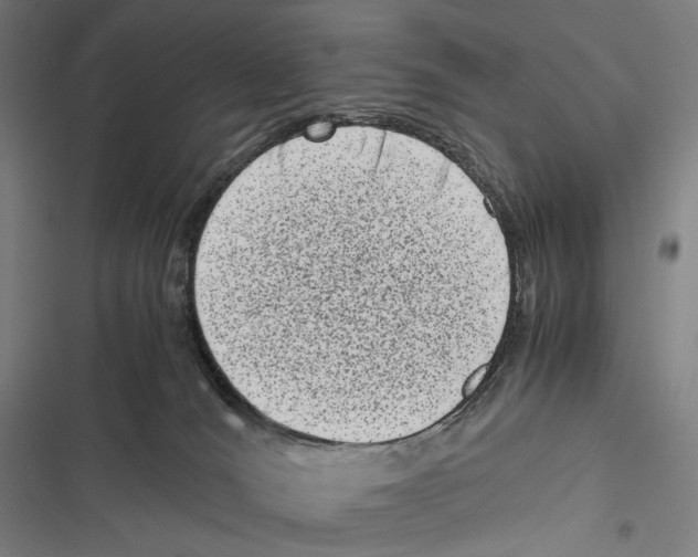 X0000116600036201001081159