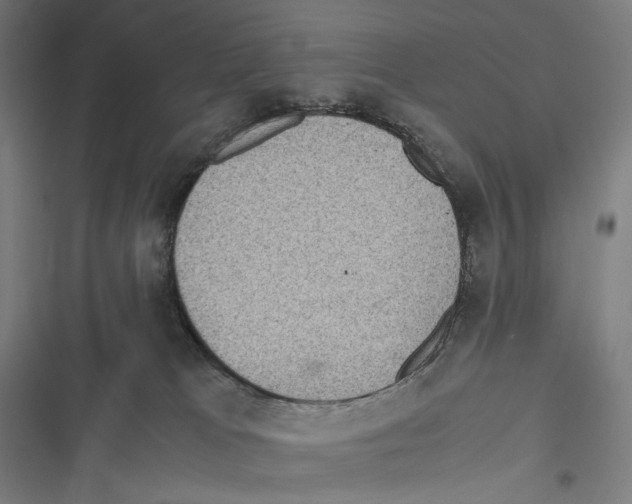 X0000116600037201001081159