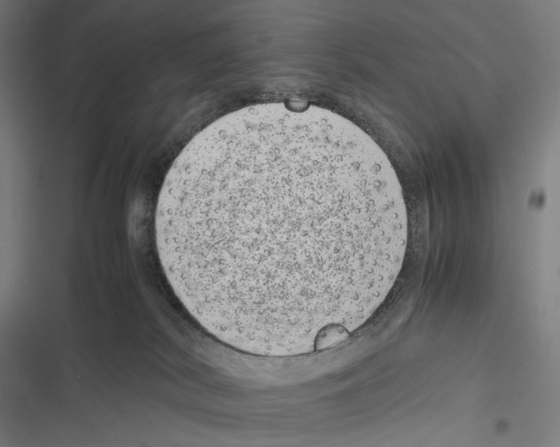 X0000116600038201001081159