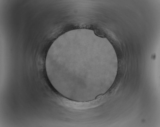 X0000116600039201001081159