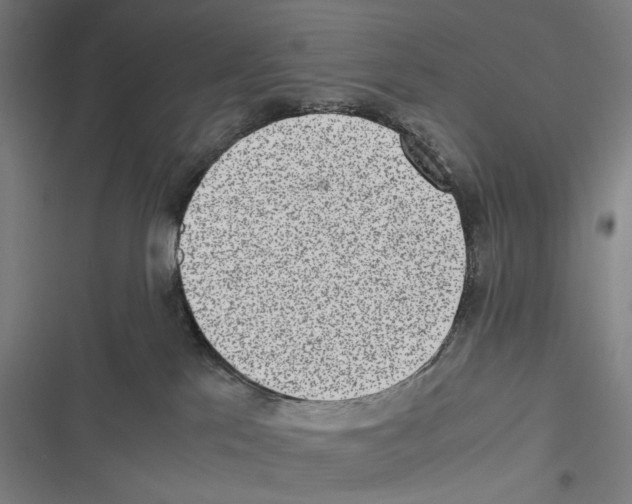 X0000116600041201001081159