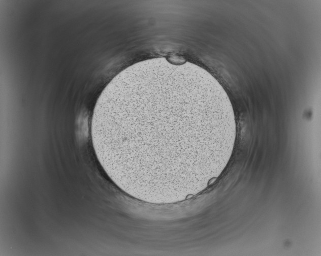 X0000116600042201001081159
