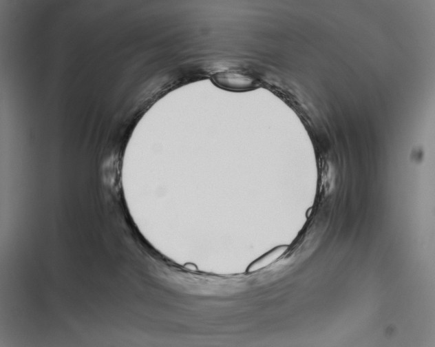 X0000116600044201001081159