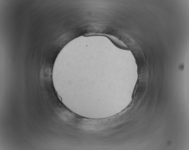 X0000116600045201001081159