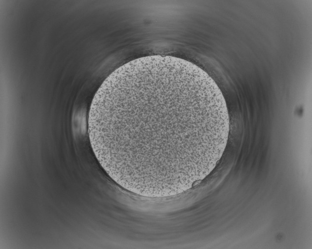 X0000116600046201001081159