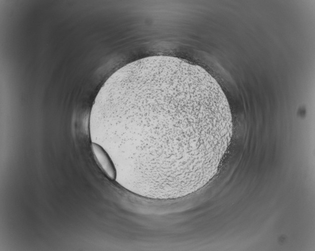 X0000116600047201001081159