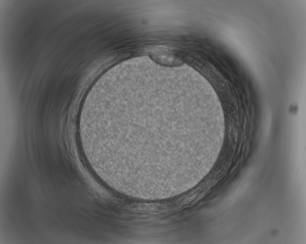 X0000116600049201001081158
