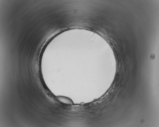 X0000116600050201001081158