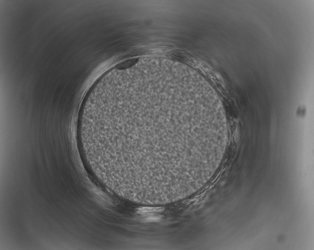 X0000116600051201001081158