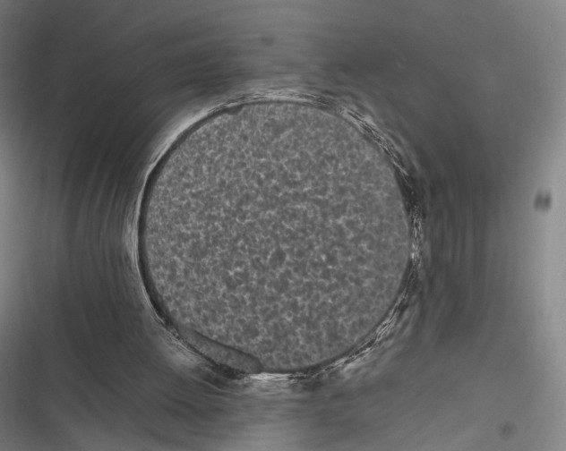 X0000116600052201001081158