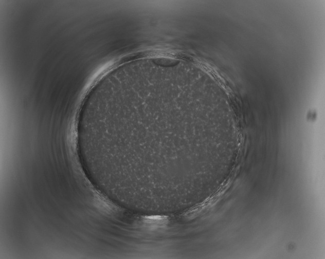 X0000116600053201001081158