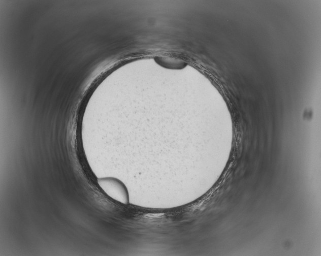 X0000116600054201001081158