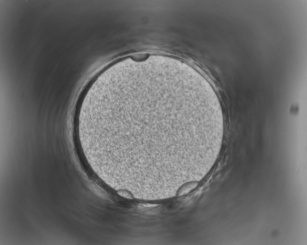 X0000116600055201001081158