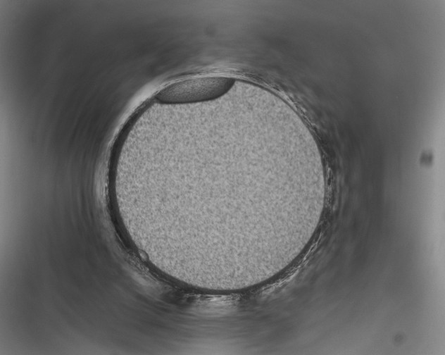 X0000116600056201001081158