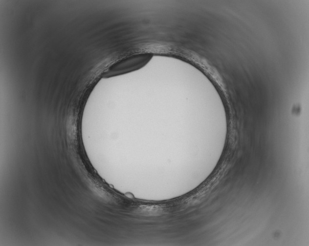 X0000116600057201001081158