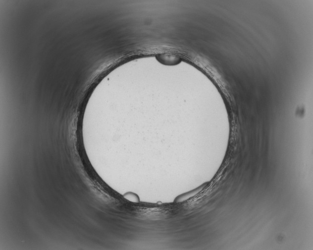 X0000116600058201001081158