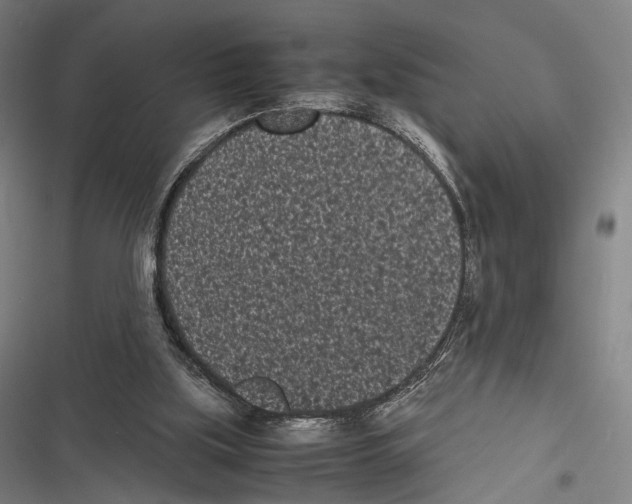 X0000116600059201001081158