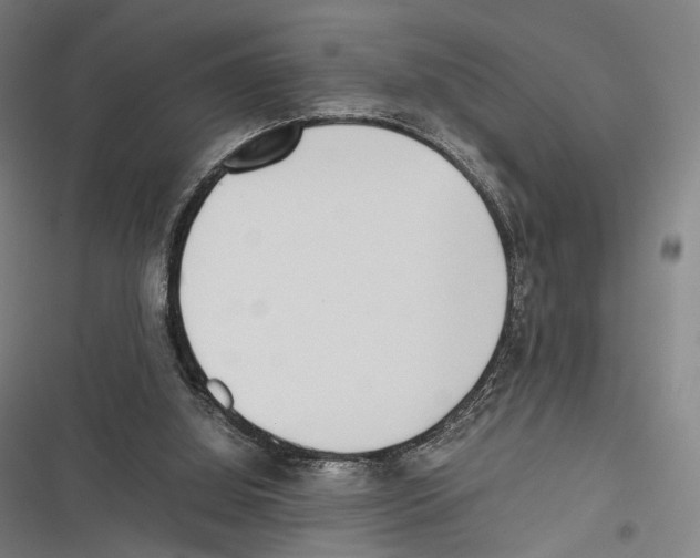 X0000116600060201001081158
