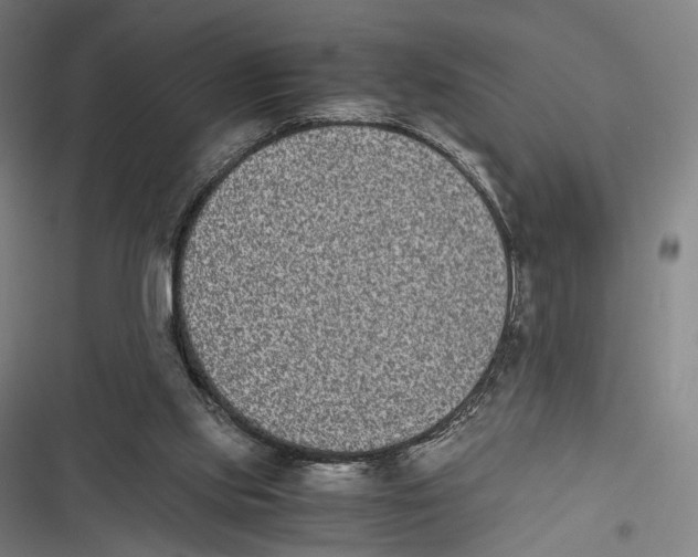X0000116600061201001081158