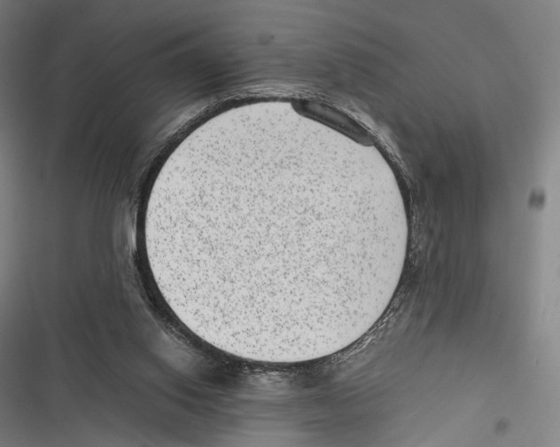 X0000116600062201001081158