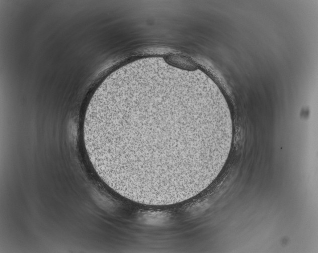 X0000116600063201001081158