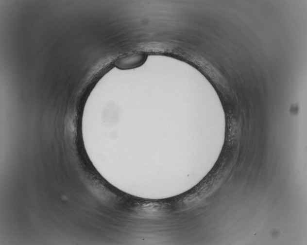 X0000116600064201001081158