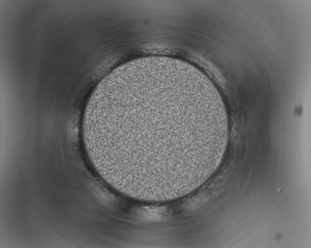 X0000116600065201001081158