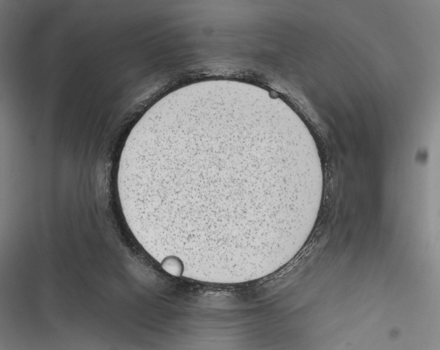 X0000116600066201001081158